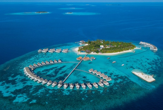 Honeymoon & Wedding